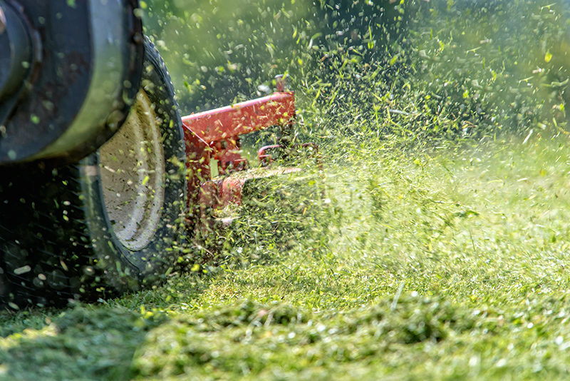 keeping your grass tidy with covers