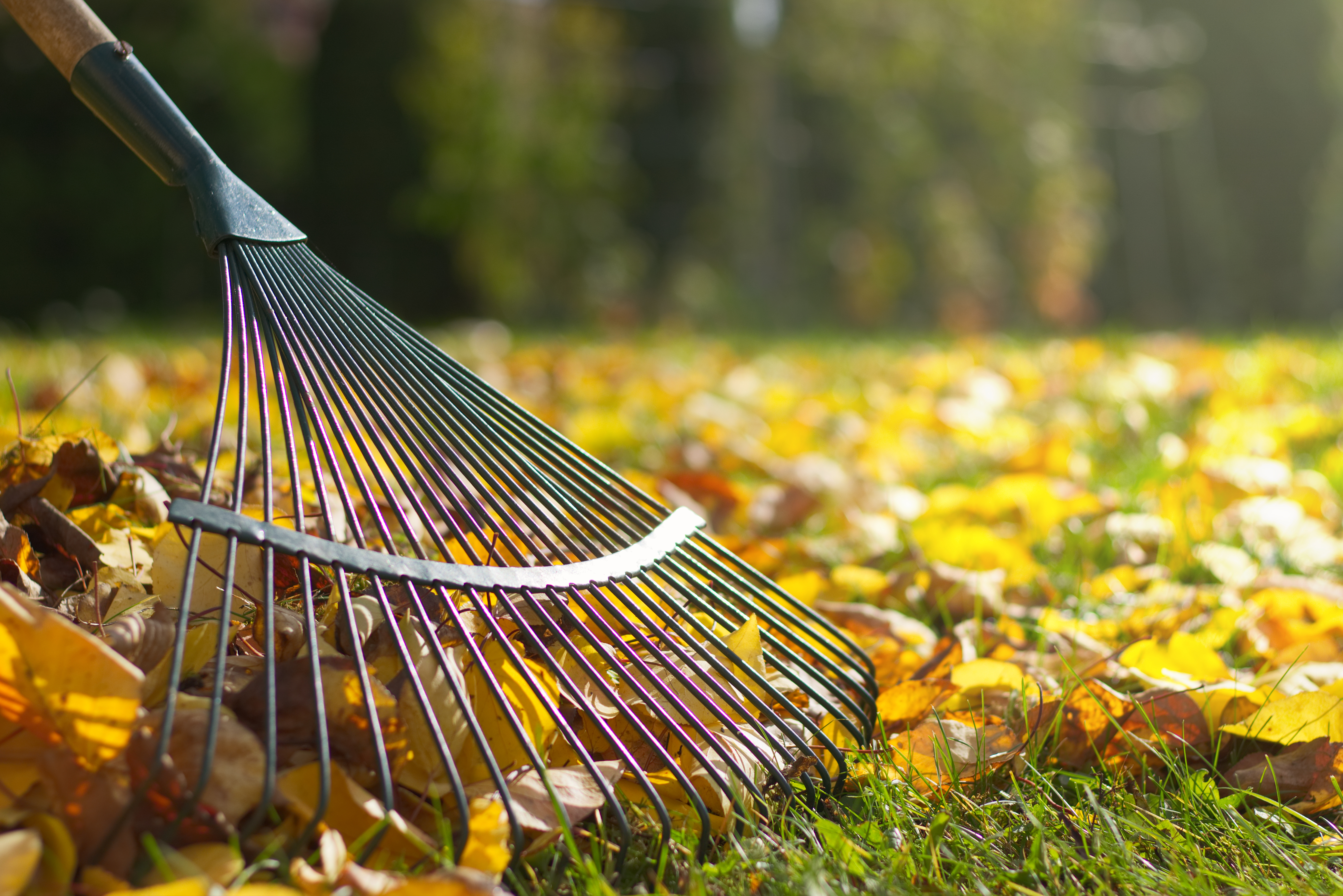 keeping your garden tidy with covers