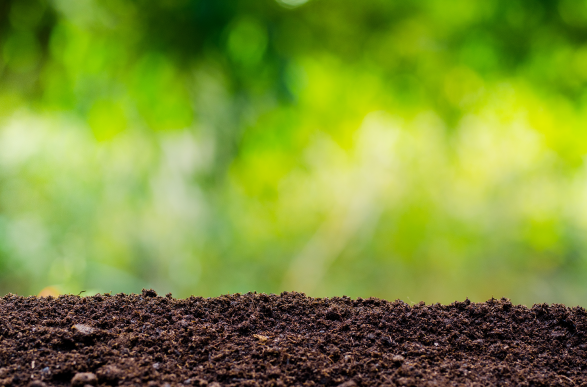 Compost, Topsoil & Bark