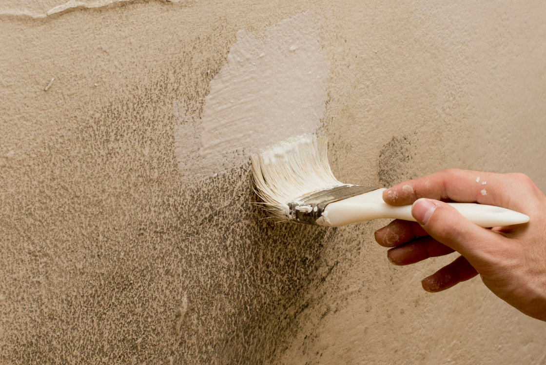 Specialist Paint