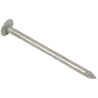Galvanised Clout Nail 30mm - 500g