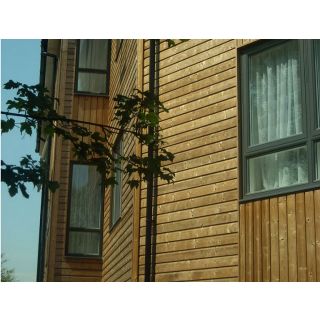 Thermowood Planed PMW Cladding 25 x 125mm (Fin. Size: 21 x 118mm)