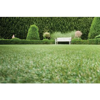 Namgrass Vision 27mm Artificial Grass (Cut to size from 2m wide roll)