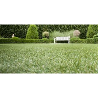 Namgrass Ludus 30mm Artificial Grass (Cut to size from 4m wide roll)
