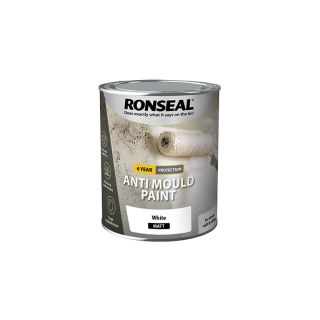 Ronseal Anti Mould Matt White Paint 750ml