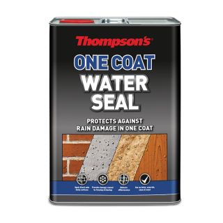 Thompson's One Coat Water Seal 5L