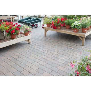Brett Beta Silver Haze Driveway Paving 210 x 140 x 60mm - 180 Per Pack