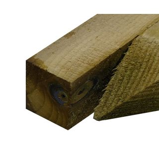Treated Pointed Peg 50 x 50 x 900mm