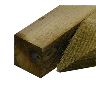 Treated Pointed Peg 50 x 50 x 1200mm