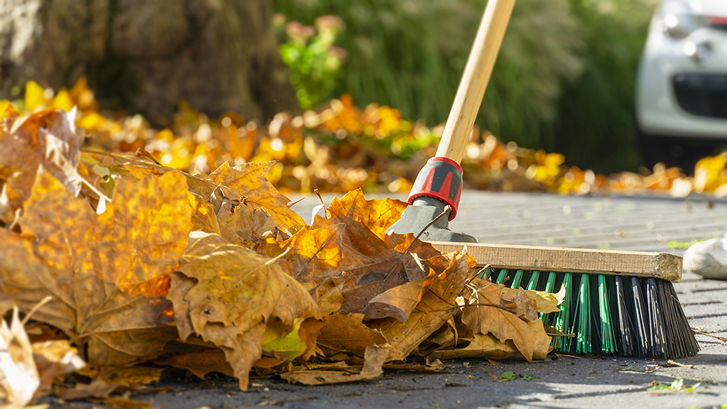 Get your home and garden autumn ready with our Autumn Essentials