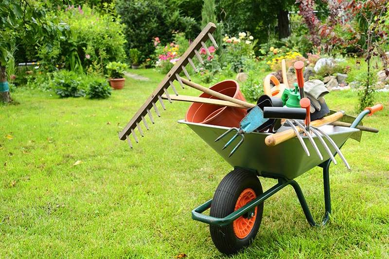 Get your garden ready for Spring
