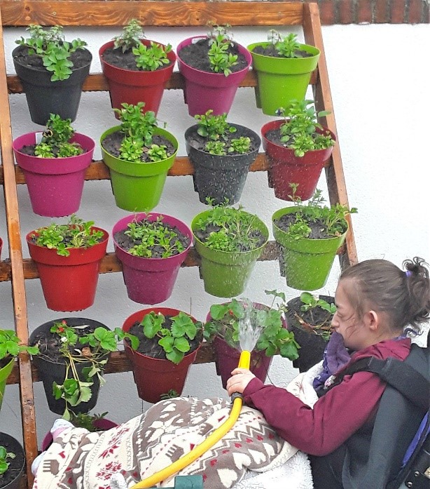 Covers Alresford helps hospice create sensory garden