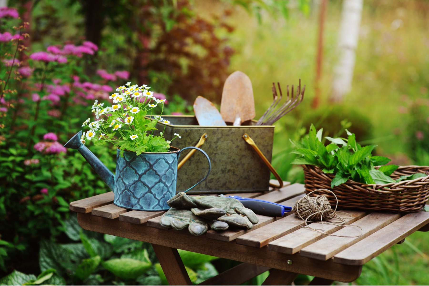 Your handy month-by-month checklist of garden jobs